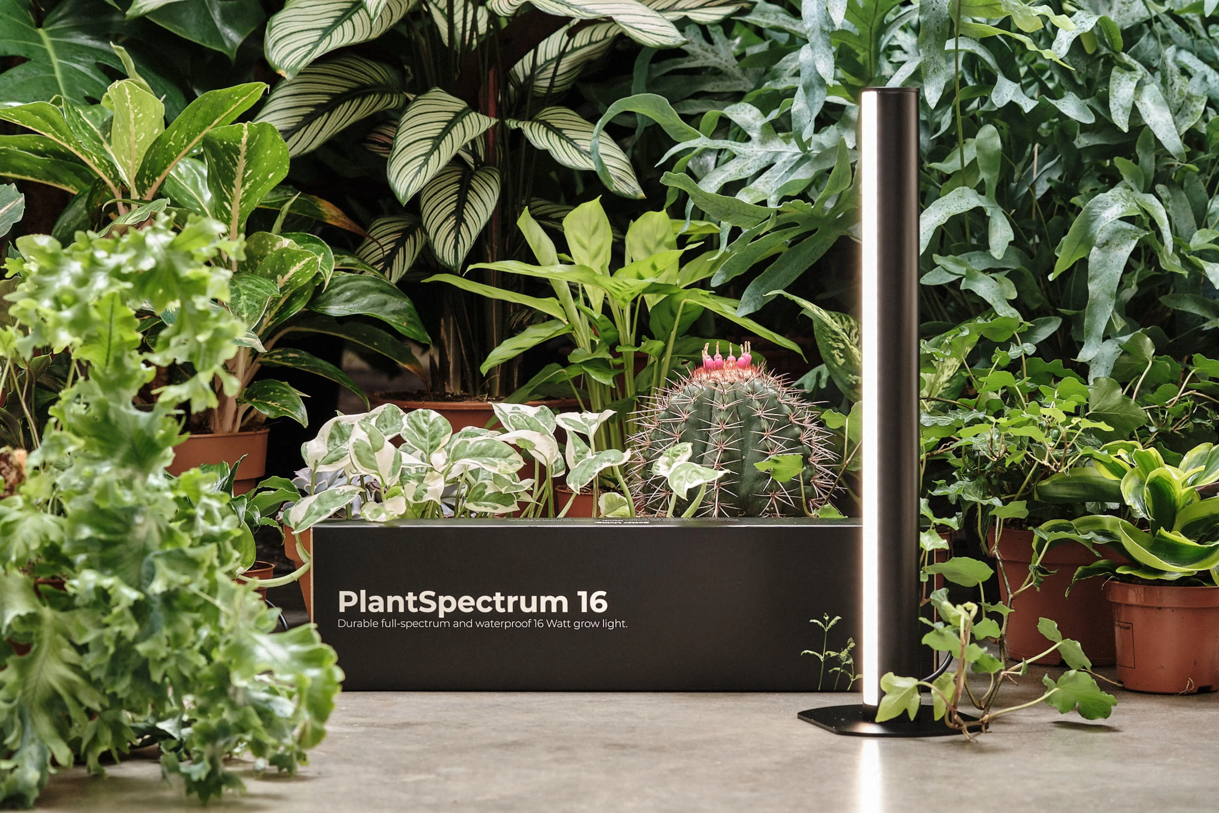 Safest shop grow lights